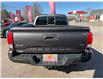 2020 Toyota Tacoma Base (Stk: A-048459) in Moncton - Image 5 of 19
