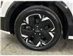 2025 Kia Niro EV Wave w/Snow White Pearl & Grey Exterior (Stk: 43895J) in Belleville - Image 30 of 35 2025 Kia Niro EV Wave w/Snow White Pearl & Grey Exterior (Stk: 43895J) in Belleville - Image 30 of 35