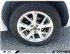 2025 Audi Q3 40 (Stk: P0729) in Tecumseh - Image 13 of 26