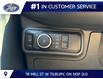 2026 Ford Explorer ST (Stk: LFEX01535) in Tilbury - Image 9 of 15