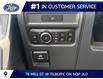 2026 Ford F-150 XLT (Stk: LFFF01711) in Tilbury - Image 9 of 15
