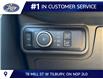 2026 Ford Explorer ST (Stk: LFEX01504) in Tilbury - Image 9 of 15