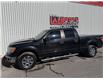 2014 Ford F-150  (Stk: 2775) in Hawkesbury - Image 1 of 17