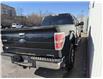 2014 Ford F-150 (Stk: 2775) in Hawkesbury - Image 6 of 17 2014 Ford F-150 (Stk: 2775) in Hawkesbury - Image 6 of 17