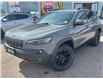 2019 Jeep Cherokee Trailhawk (Stk: P7638-1) in Pembroke - Image 1 of 22