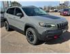 2019 Jeep Cherokee Trailhawk (Stk: P7638-1) in Pembroke - Image 9 of 22