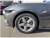 2026 Ford Mustang EcoBoost Premium (Stk: 26M9177) in North Vancouver - Image 6 of 25