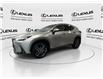 2025 Lexus NX 350  (Stk: 14U7481) in Markham - Image 4 of 34