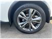 2019 Nissan Murano Platinum (Stk: 258548J) in Surrey - Image 15 of 15