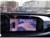 2025 Audi New Q5 2.0T Progressiv (Stk: 027344) in Ottawa - Image 17 of 25