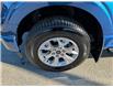 2022 Ford F-150 (Stk: BR622L) in Miramichi - Image 9 of 9 2022 Ford F-150 (Stk: BR622L) in Miramichi - Image 9 of 9