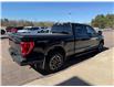 2022 Ford F-150 XLT (Stk: 24795) in Pembroke - Image 12 of 30