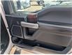 2017 Ford F-150 Platinum (Stk: T-969A) in Calgary - Image 12 of 28