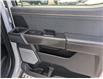 2024 Ford F-150 Tremor (Stk: 79273) in Calgary - Image 14 of 25 2024 Ford F-150 Tremor (Stk: 79273) in Calgary - Image 14 of 25
