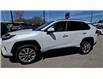 2025 Toyota RAV4 Limited (Stk: 2106131A) in Whitby - Image 4 of 23 2025 Toyota RAV4 Limited (Stk: 2106131A) in Whitby - Image 4 of 23