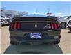 2017 Ford Shelby GT350 Base (Stk: 7138) in Calgary - Image 7 of 12