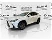 2023 Lexus NX 250  (Stk: 14112422A) in Markham - Image 4 of 24