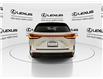 2023 Lexus NX 250  (Stk: 14112422A) in Markham - Image 7 of 24