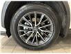 2023 Lexus NX 250  (Stk: 14112422A) in Markham - Image 10 of 24