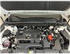 2023 Lexus NX 250  (Stk: 14112422A) in Markham - Image 24 of 24