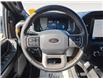 2026 Ford F-150 Tremor (Stk: 26T027) in ROCKY MOUNTAIN HOUSE - Image 12 of 15