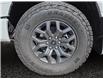 2026 Ford F-150 Tremor (Stk: 26T027) in ROCKY MOUNTAIN HOUSE - Image 14 of 15