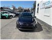 2024 Toyota Corolla  (Stk: 260420) in Ottawa - Image 7 of 21
