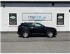 2024 Toyota RAV4 LE (Stk: 260487) in Ottawa - Image 2 of 21