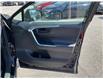 2024 Toyota RAV4 LE (Stk: 260487) in Ottawa - Image 17 of 21