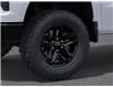 2026 Chevrolet Silverado 1500 Custom Trail Boss (Stk: 2-354839) in Paisley - Image 9 of 24