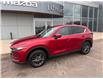2019 Mazda CX-5 GX (Stk: 24767) in Pembroke - Image 3 of 25