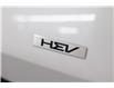 2026 Kia Sportage Hybrid SX w/Black Interior (Stk: 27097) in Edmonton - Image 6 of 32