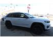 2024 Jeep Grand Cherokee Limited (Stk: 7350A) in Lac La Biche - Image 6 of 28