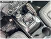 2026 Ford Bronco Badlands (Stk: 26BR5599) in North Vancouver - Image 16 of 21
