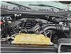 2019 Ford F-150 XLT in Ottawa - Image 5 of 21 2019 Ford F-150 XLT in Ottawa - Image 5 of 21