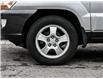 2006 Kia Sportage LX-V6 (Stk: 260471A) in Mississauga - Image 5 of 18
