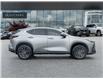 2025 Lexus NX 350  (Stk: 15105658A) in Richmond Hill - Image 6 of 26