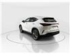 2026 Lexus NX 350  (Stk: 14112570) in Markham - Image 5 of 21