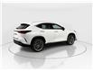 2026 Lexus NX 350  (Stk: 14112570) in Markham - Image 7 of 21