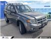 2011 Ford Escape XLT Automatic (Stk: 6061Y) in Tecumseh - Image 4 of 20