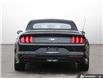 2019 Ford Mustang EcoBoost (Stk: 6-26ER0107B) in Whitby - Image 5 of 32