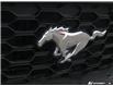 2019 Ford Mustang EcoBoost (Stk: 6-26ER0107B) in Whitby - Image 10 of 32