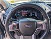 2019 Ford Expedition Platinum (Stk: T-1790A) in Calgary - Image 29 of 30