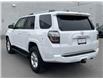 2023 Toyota 4Runner Base (Stk: 12108308A) in Concord - Image 12 of 47