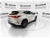 2025 Lexus NX 350  (Stk: 14112426A) in Markham - Image 8 of 30
