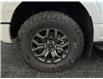 2026 Ford F-150 Tremor (Stk: T0046) in ROSETOWN - Image 17 of 17