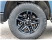 2024 Chevrolet Silverado 1500 Custom Trail Boss (Stk: 15-U1285) in London - Image 9 of 26
