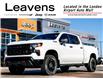 2024 Chevrolet Silverado 1500 Custom Trail Boss (Stk: 15-U1289) in London - Image 1 of 24