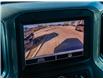 2024 Chevrolet Silverado 1500 Custom Trail Boss (Stk: 15-U1289) in London - Image 17 of 24