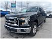 2015 Ford F-150 XLT (Stk: P2242) in Newmarket - Image 3 of 23
